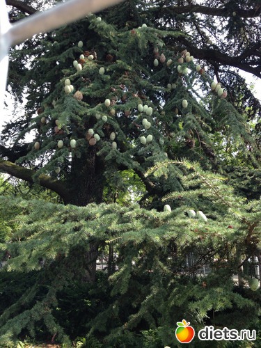 ����� ����� ��������, ������: �������� �� ������ 18.08.2013