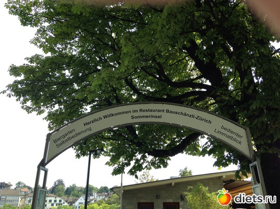 ���� � �����������, ������: �������� �� ������ 18.08.2013