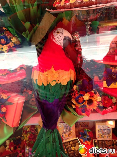 21 ����: �������� �� ������ 18.08.2013