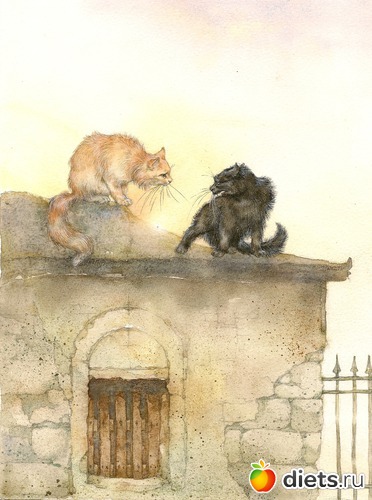 3 ����: ��������� ��������� ����������