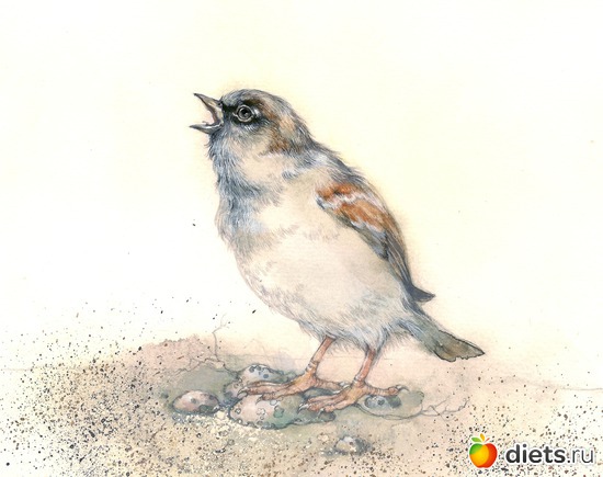 5 ����: ��������� ��������� ����������