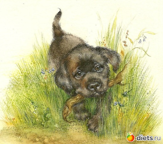 12 ����: ��������� ��������� ����������