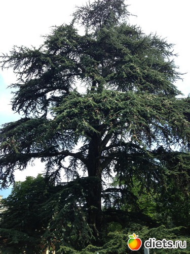 9 ����: �������� �� ������ 18.08.2013