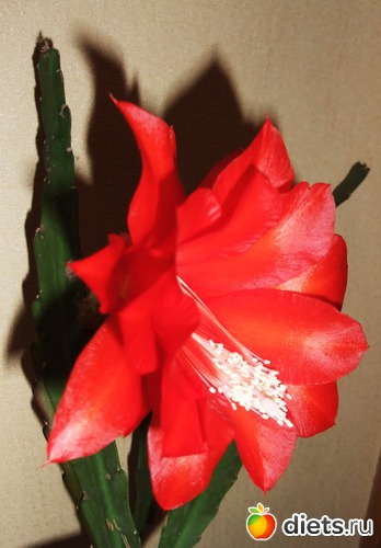 3 ����: ����� �� �����