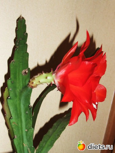 4 ����: ����� �� �����