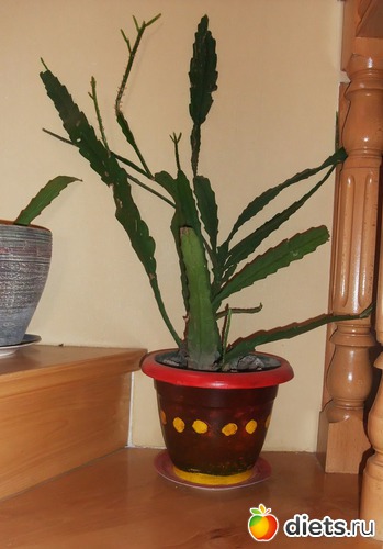 5 ����: ����� �� �����