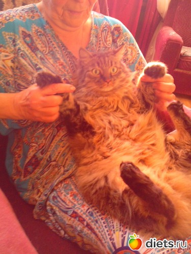 53 фото: разное