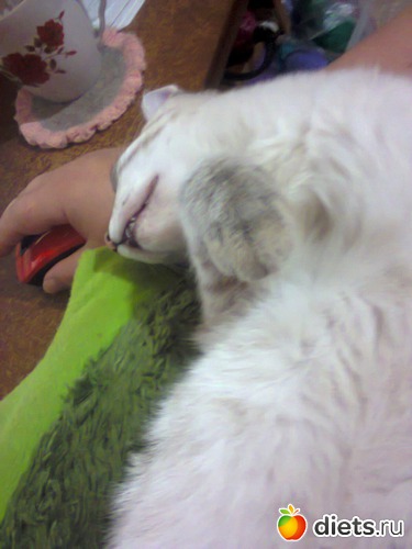 27 ����: �����