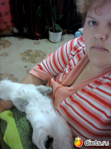 28 ����: �����