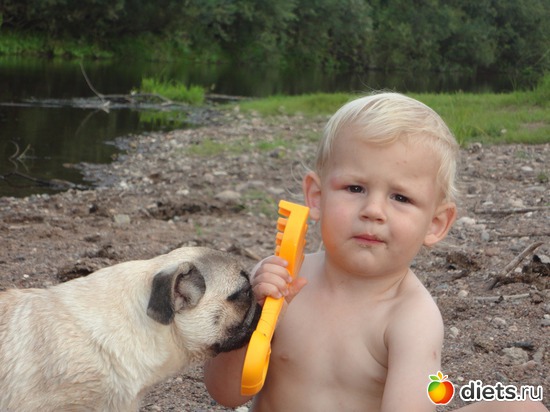 5 ����: ������ ������