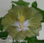 061 - Irish Spring