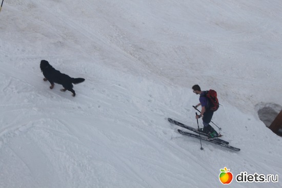 4 ����: ������ 2013