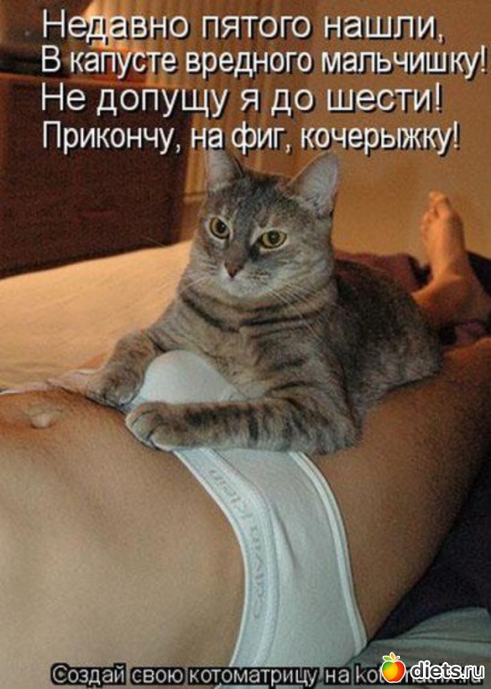 1 фото: ПРО ЖИВОТНЫХ