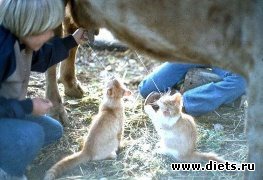 ПРО ЖИВОТНЫХ