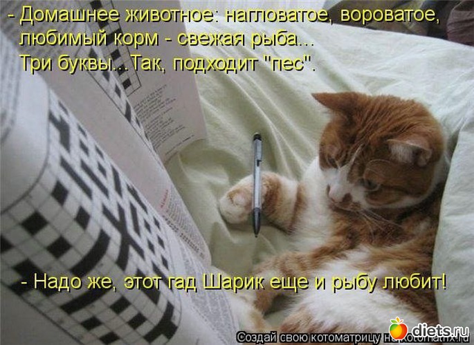 7 фото: ПРО ЖИВОТНЫХ