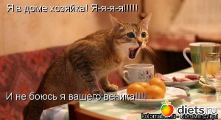 ПРО ЖИВОТНЫХ