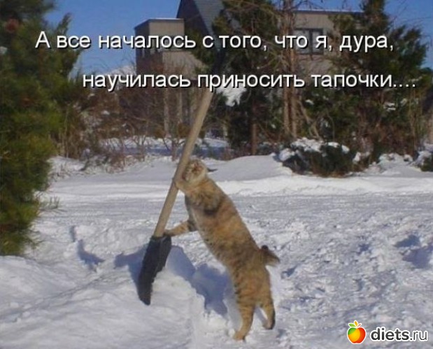 11 фото: ПРО ЖИВОТНЫХ