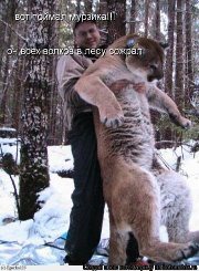 ПРО ЖИВОТНЫХ