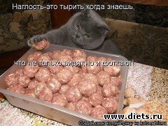 ПРО ЖИВОТНЫХ