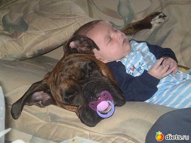 22 фото: ПРО ЖИВОТНЫХ