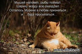 ПРО ЖИВОТНЫХ