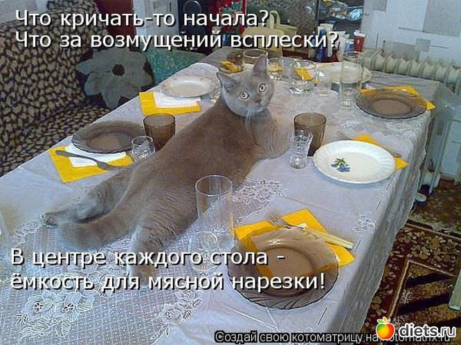 30 фото: ПРО ЖИВОТНЫХ