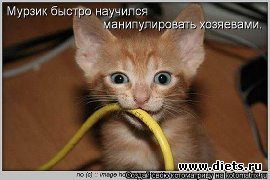 ПРО ЖИВОТНЫХ