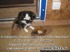 ��� ��������