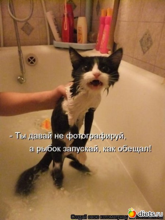 34 фото: ПРО ЖИВОТНЫХ