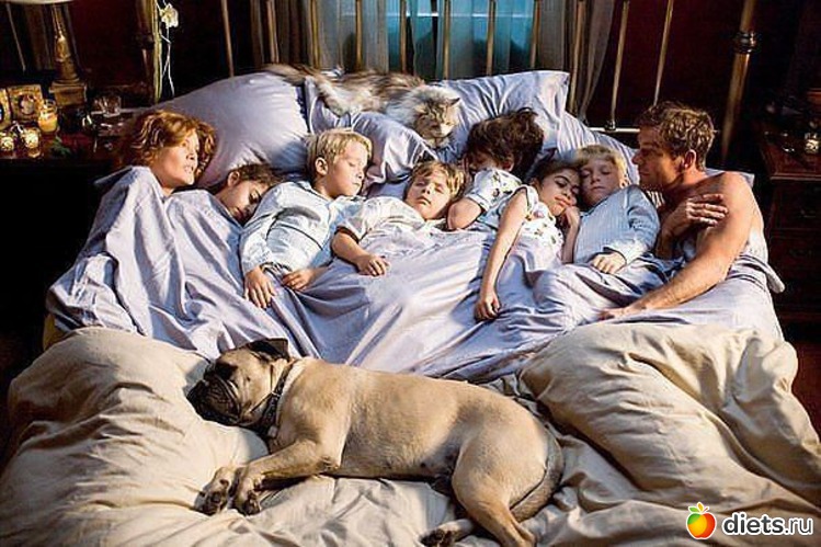 35 фото: ПРО ЖИВОТНЫХ