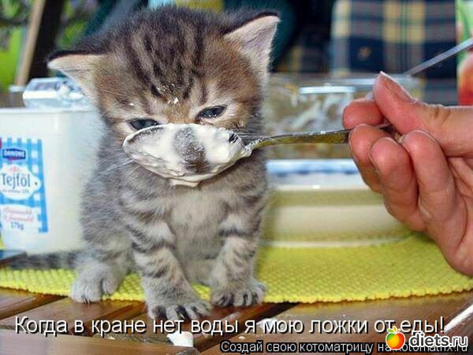 39 фото: ПРО ЖИВОТНЫХ