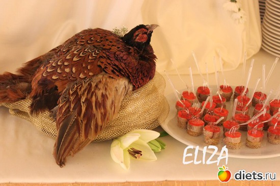 Екатерининский дворец Свадьба, альбом: ОЛЬГА и ИРИНА Свадьбы