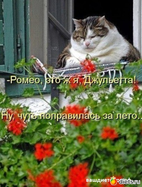 1 ����: � ����