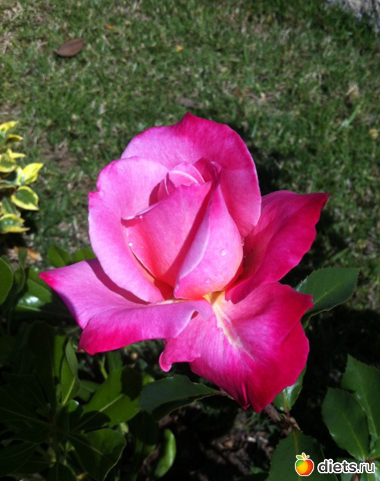 60 фото: Красота всякая