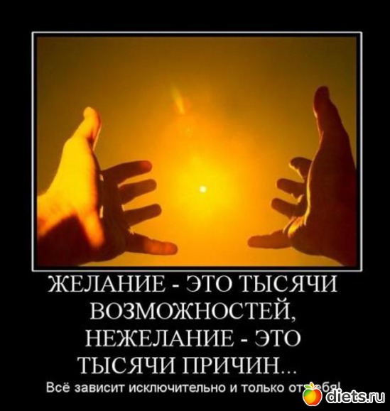 26 ����: ���������