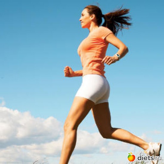 33 ����: ���������