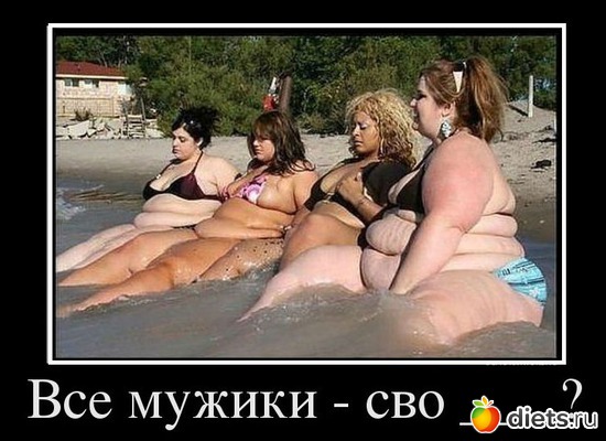 35 ����: ���������