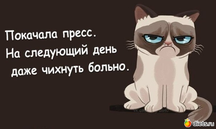 48 ����: ���������