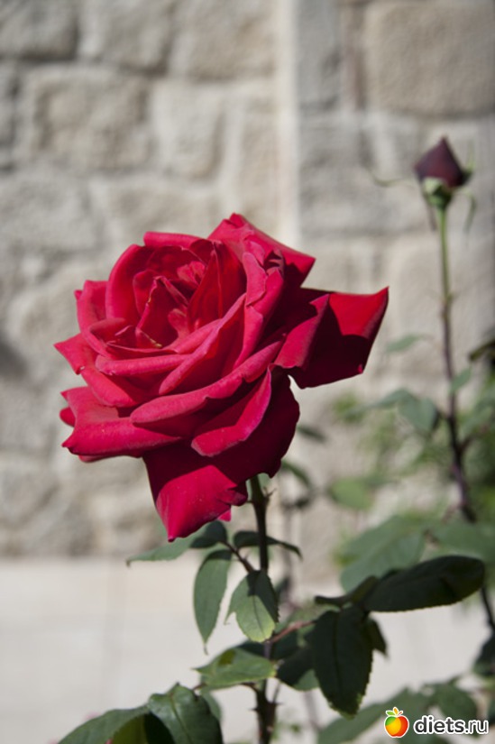 18 фото: Красота всякая