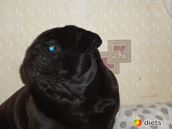 8 ����: ��� �������