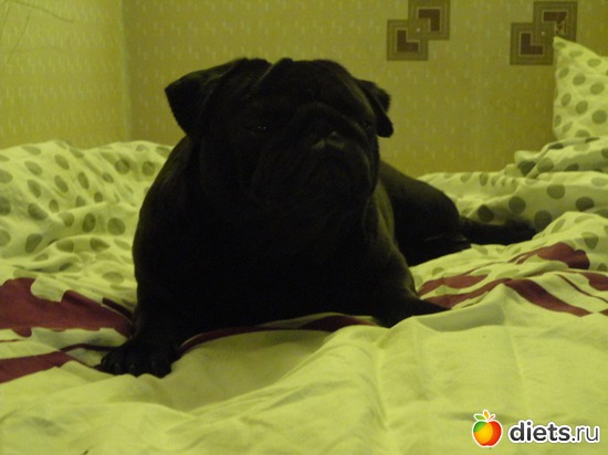 3 ����: ��� �������