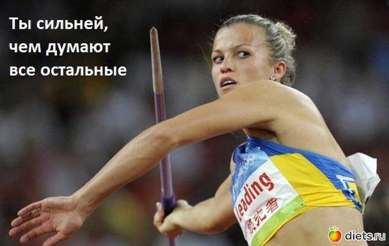 17 ����: ���������)