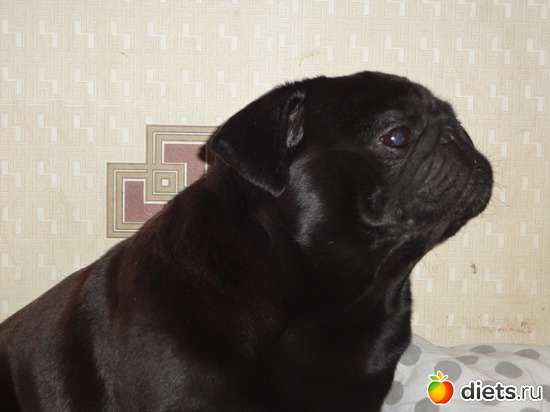 9 ����: ��� �������