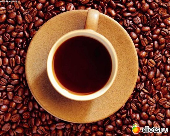 1 ����: �������� ����������