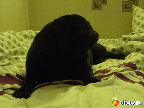 4 ����: ��� �������