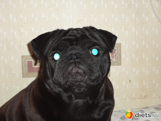 5 ����: ��� �������