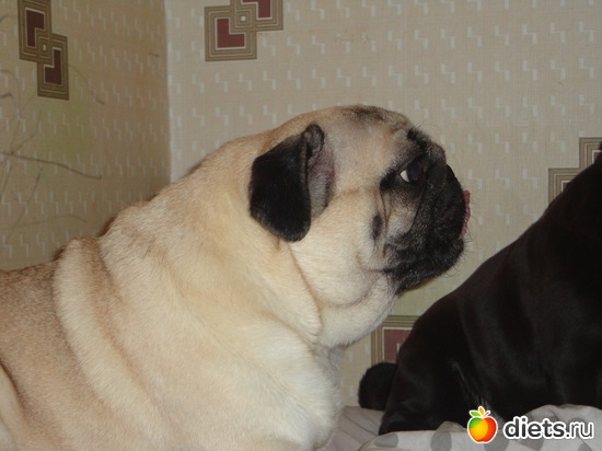 10 ����: ��� �������