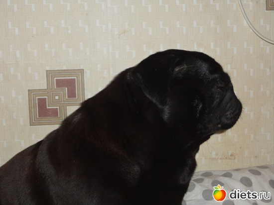 6 ����: ��� �������