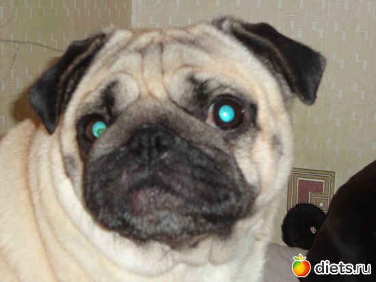 7 ����: ��� �������