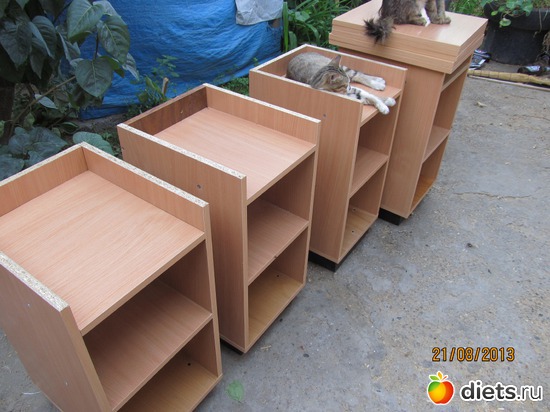 100 фото: кошки